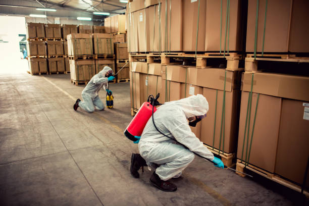 Best Flea Control Services  in Olton, TX