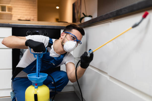 Best Residential Pest Control  in Olton, TX