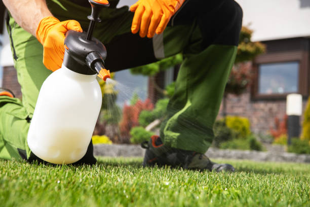 Best Insect Control  in Olton, TX