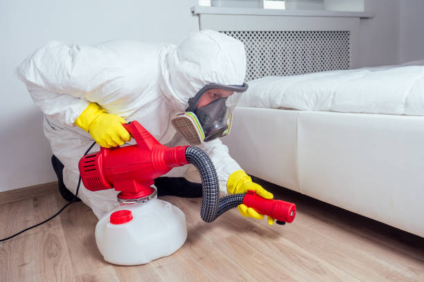 Reliable Olton, TX Pest Control Solutions