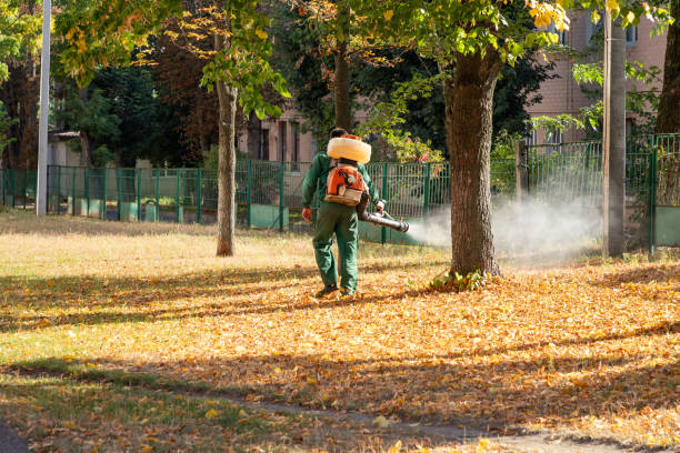 Best Pest Control for Businesses  in Olton, TX
