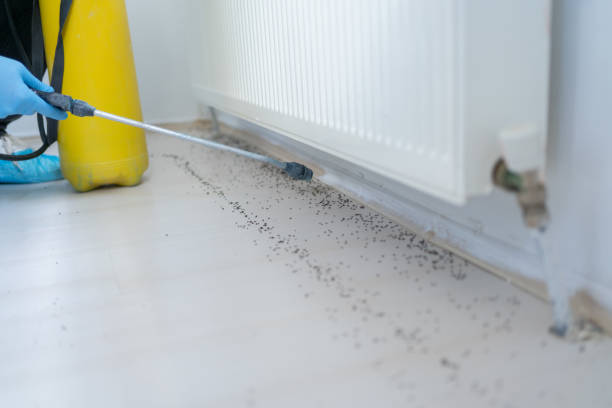 Best Best Pest Control Near Me  in Olton, TX