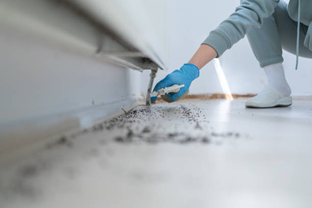 Best Residential Pest Control  in Olton, TX
